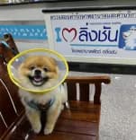 โรงพยาบาลสัตว์ตลิ่งชัน