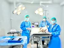 โรงพยาบาลสัตว์โฮป นครพนม 24 ชั่วโมง | Hope Animal Hospital