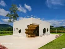 บลิส แอนด์ บลูม คาเฟ่ (Bliss & Bloom Cafe)