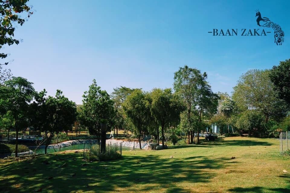 บ้านซาก้า คาเฟ่ แอนด์ รีสอร์ท (Baan Zaka Cafe’ & Resort)