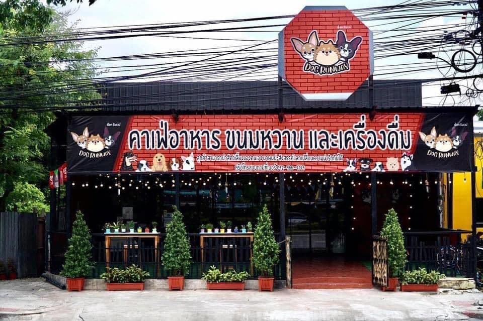 ด็อกรันเวย์ (Dog Runway)