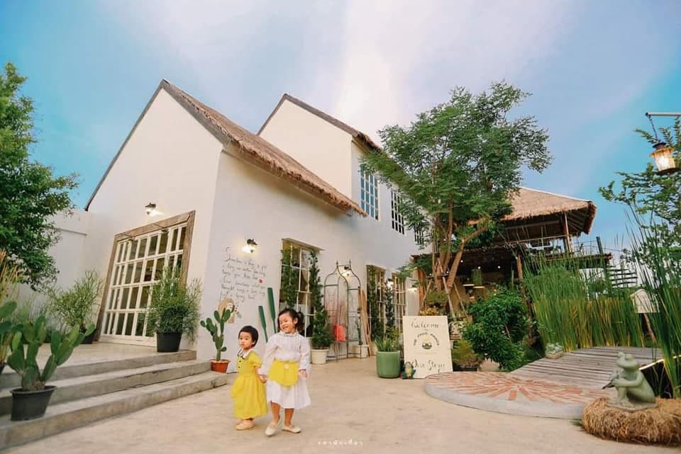 The Frog Prince Cafe & Eatery (เดอะ ฟร็อก ปรินซ์)