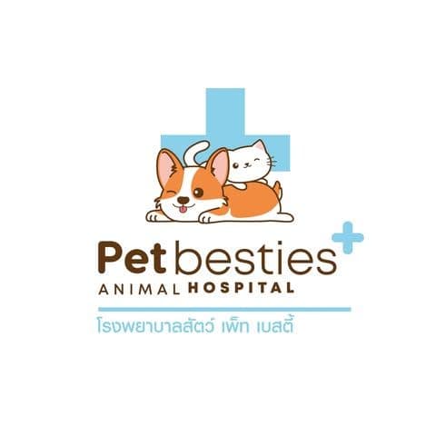 โรงพยาบาลสัตว์เพ็ทเบสตี้ : Petbesties Animal Hospital