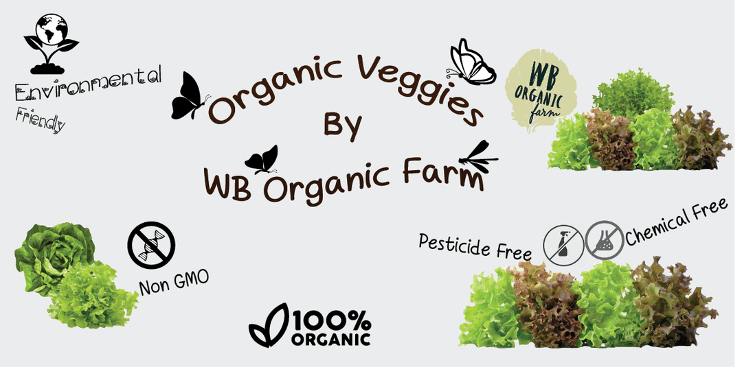 WB ออร์แกนิคฟาร์มคาเฟ่ (WB Organic Farm Cafe)