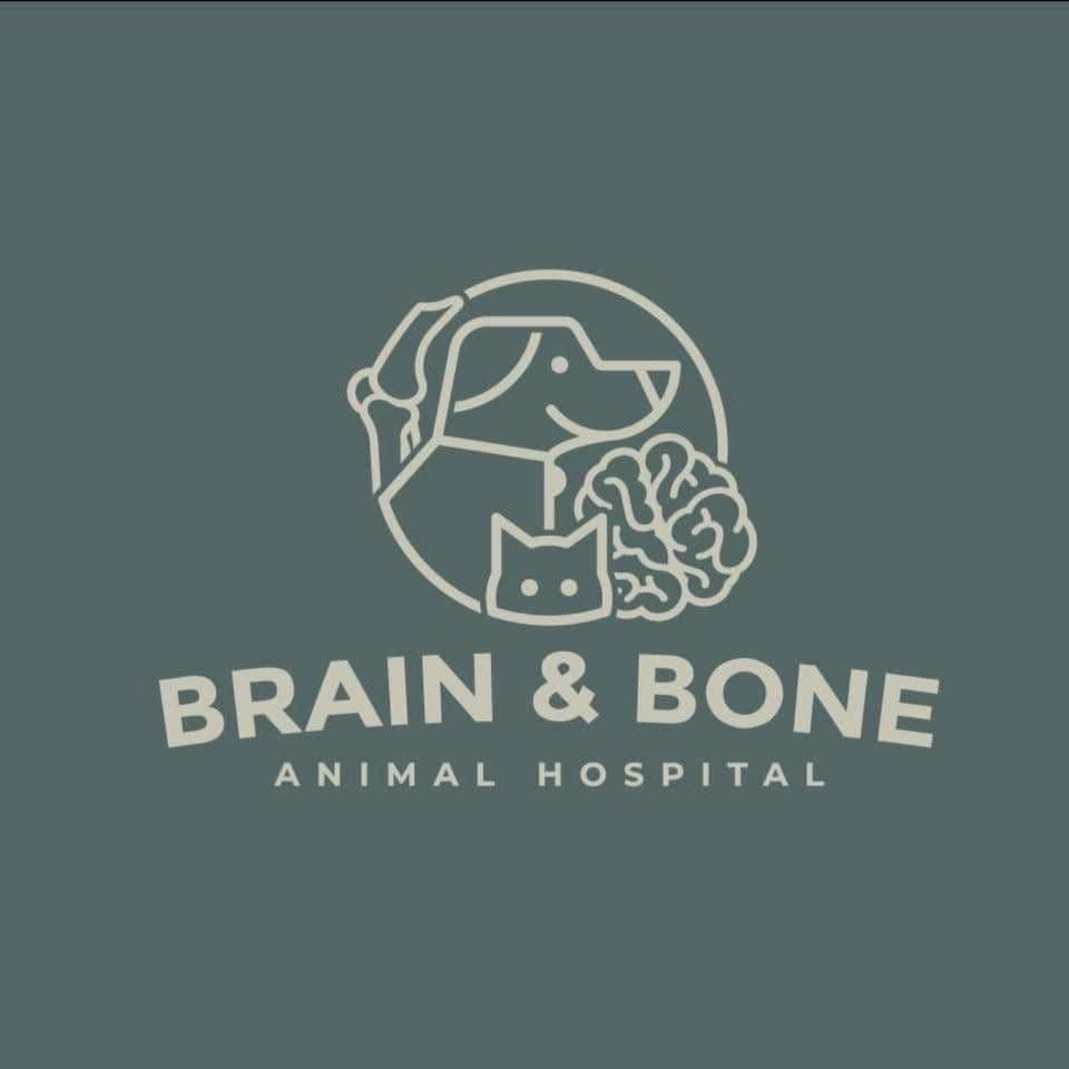 โรงพยาบาลสัตว์เบรนแอนด์โบน Brain and Bone Animal Hospital