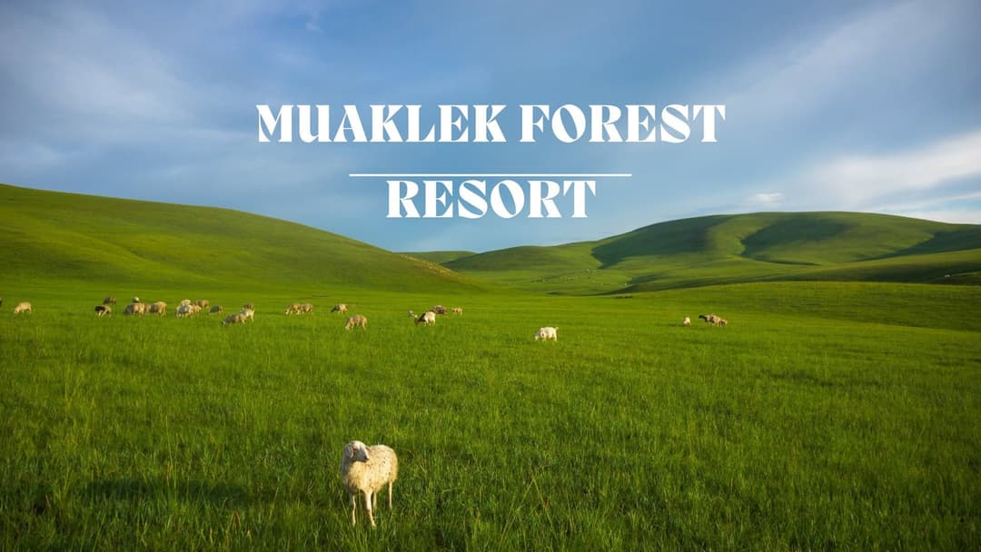 มวกเหล็ก ฟอเรสต์ รีสอร์ท (Muaklek Forest Resort)