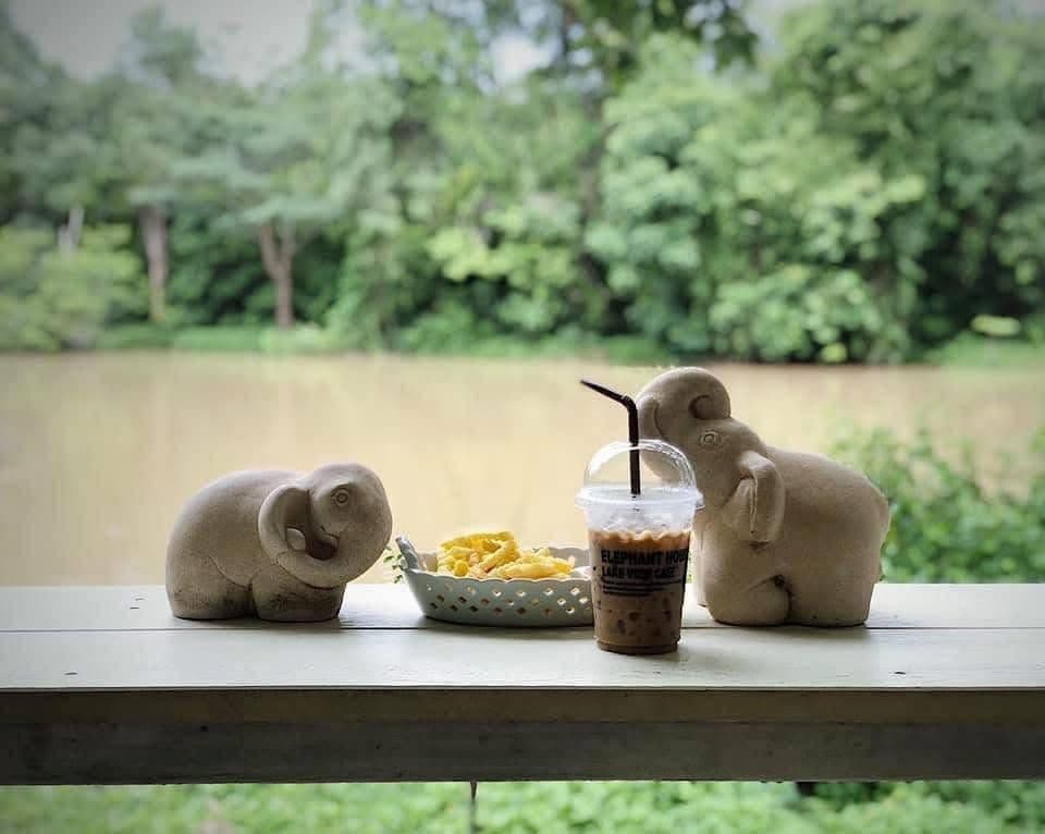 ทรัพย์ไพวัลย์ (Sappraiwan Elephant Resort)