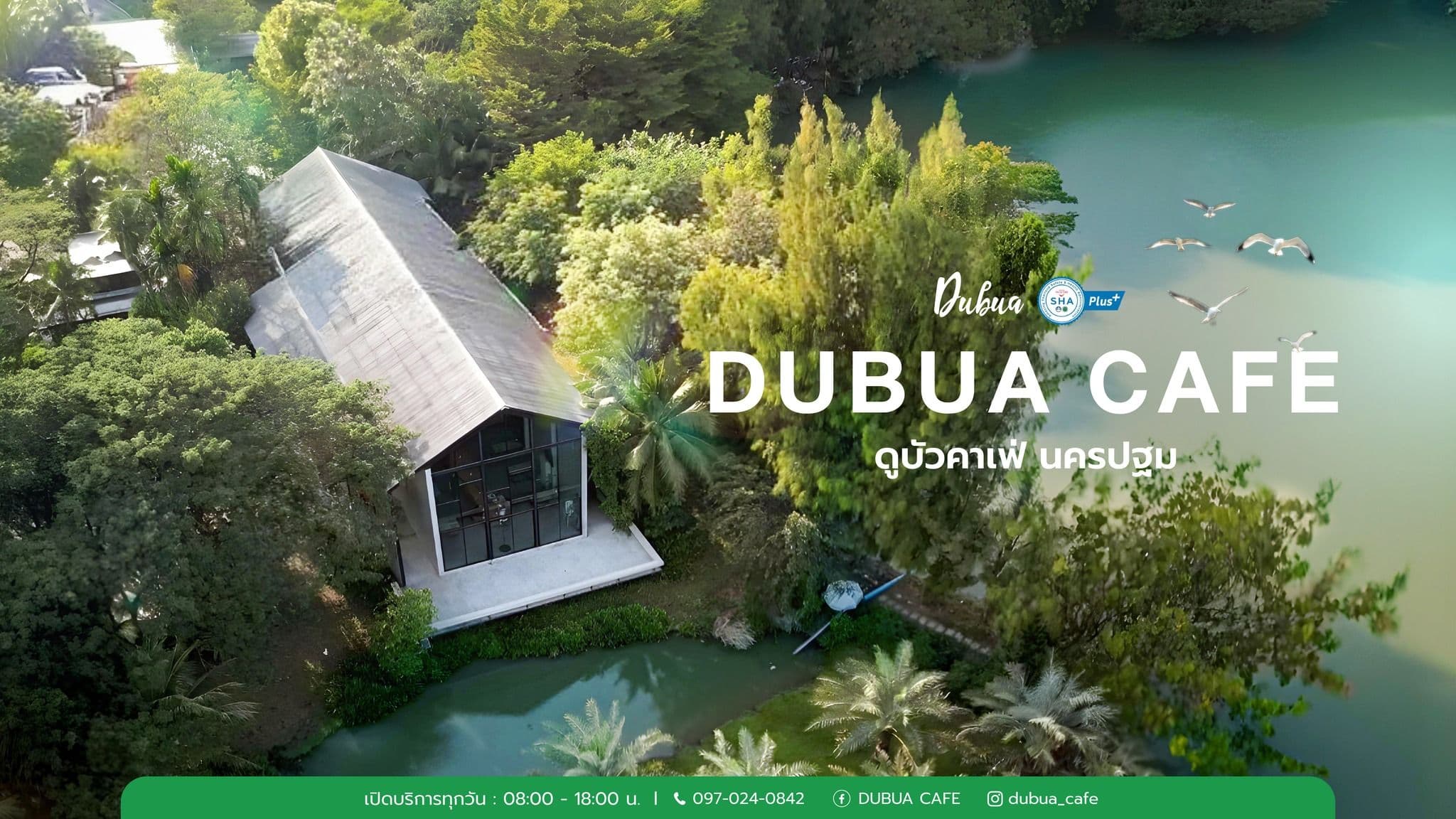 ดูบัวคาเฟ่ (DUBUA CAFE)