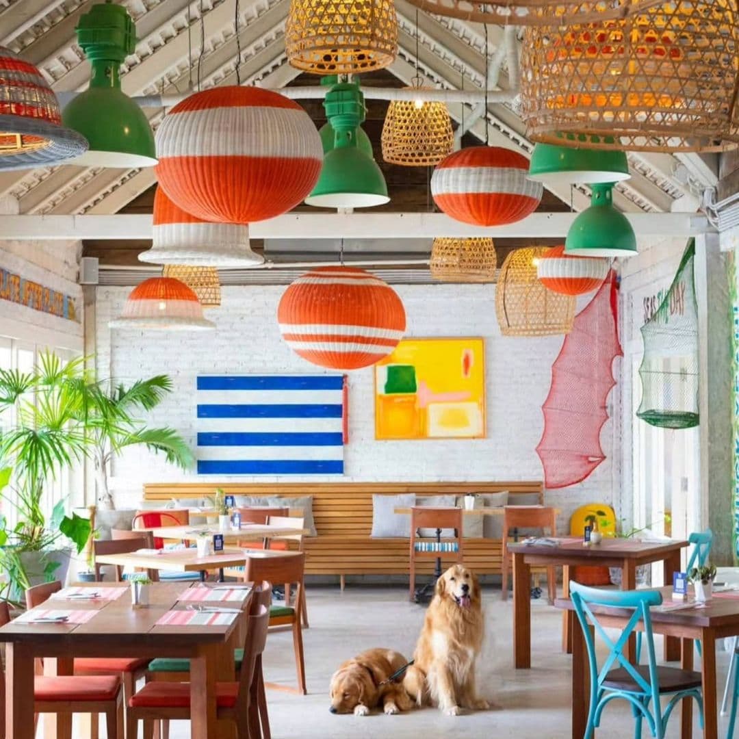 ร้านอาหาร ชาวมง ซีฟู้ด (Chow Mong Seafood)