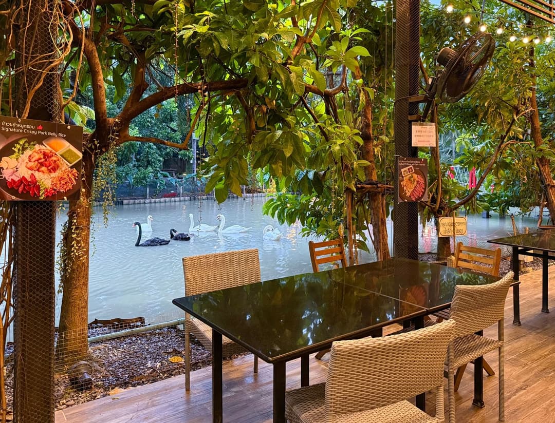 เซย์ เฮย์ คาเฟ่ คูซีน (Say Hay Cafe & Cuisine)