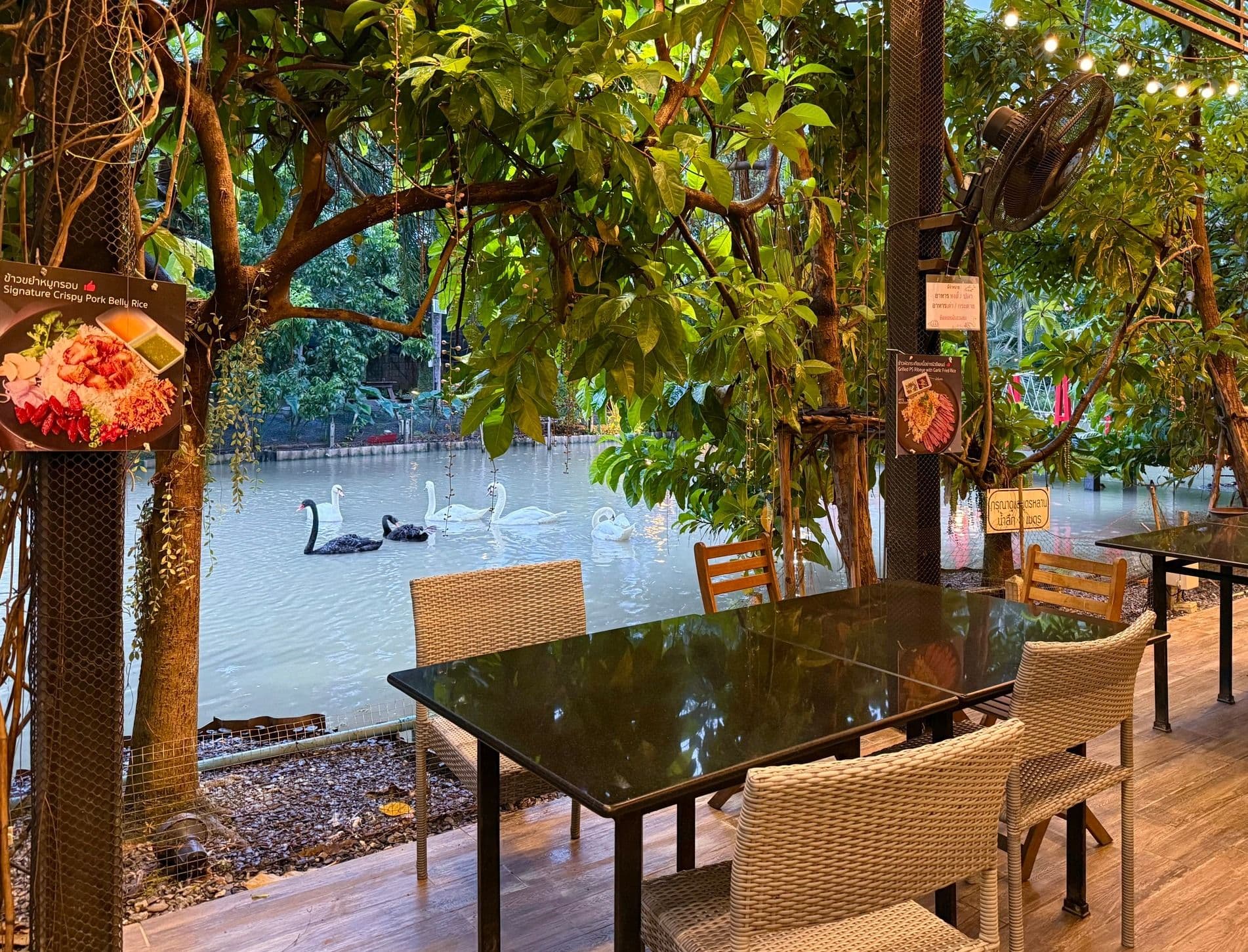 เซย์ เฮย์ คาเฟ่ คูซีน (Say Hay Cafe & Cuisine)