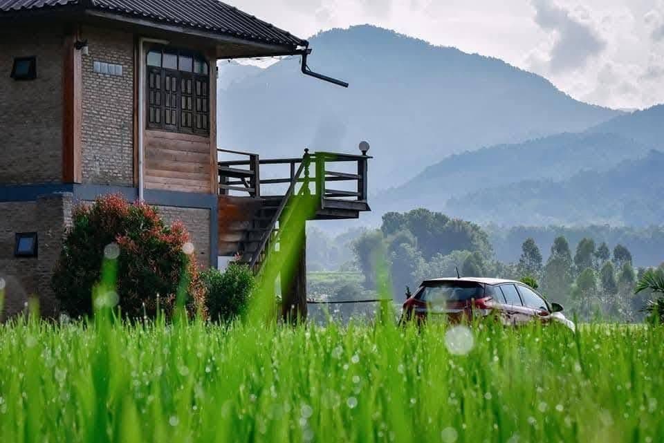 บ้านไม้ ปลายนา (Banmai plaina)