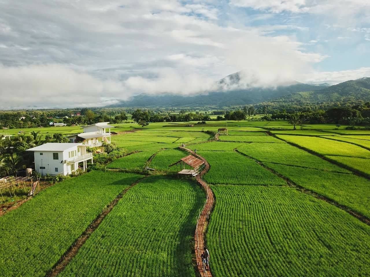 โฮมสเตย์ตานงค์ (Homestay Tanong)