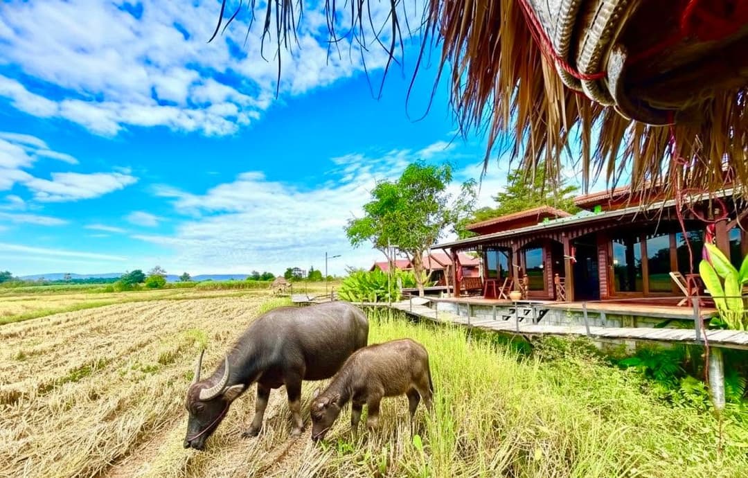 โรงแรมโรสแมรี่ รีสอร์ท (Rosemary Resort Hotel)