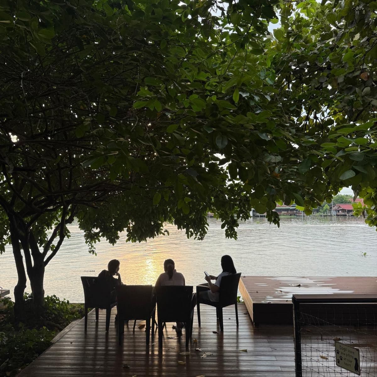 สมดุล (Somdul Agroforestry Home)