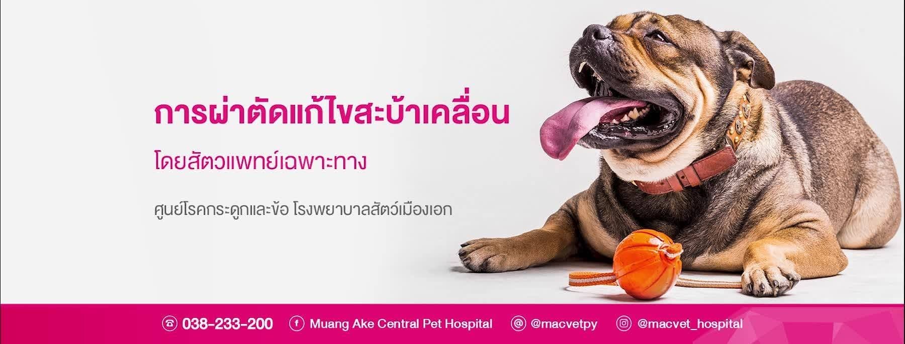 โรงพยาบาลสัตว์เมืองเอก สาขาพัทยา