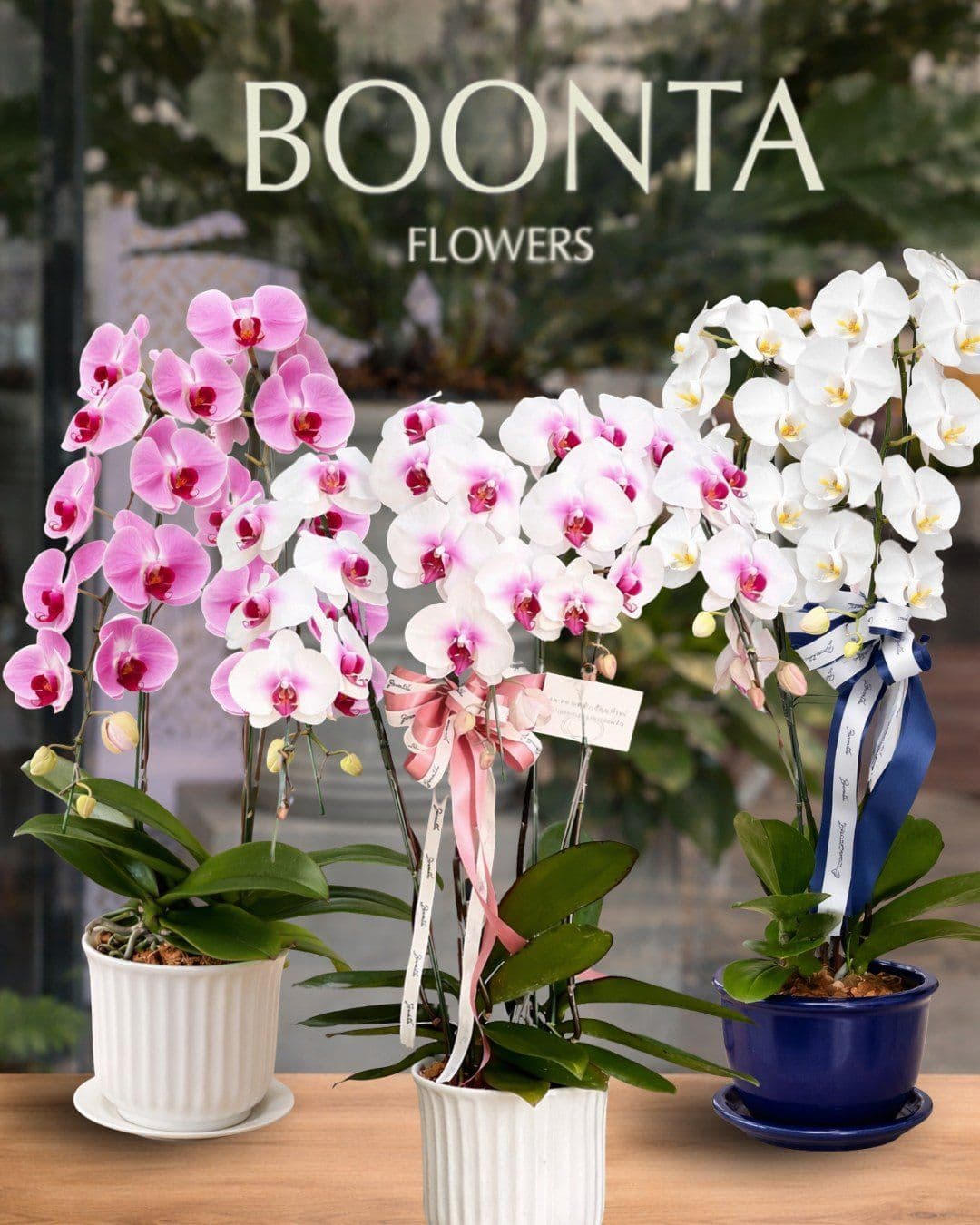 บุญตาฟาวเวอร์คาเฟ่ (BOONTA FLOWERS & CAFE)