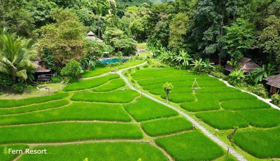 เฟิร์นรีสอร์ท (Fern Resort)
