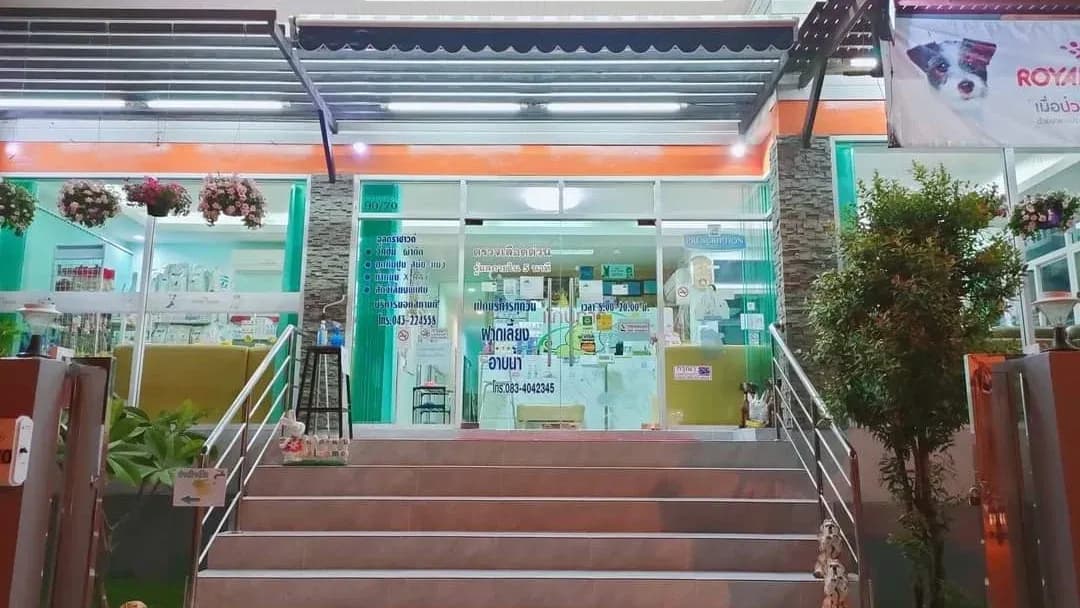 โรงพยาบาลสัตว์แก่นการ