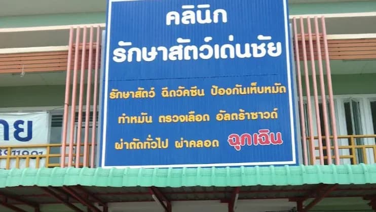 คลินิกรักษาสัตว์เด่นชัย